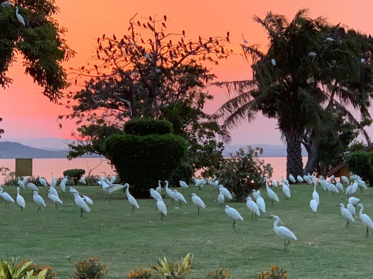 Samuka Island Retreat Villa Jinja Dış mekan fotoğraf
